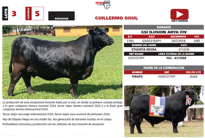Lote LOTE 3