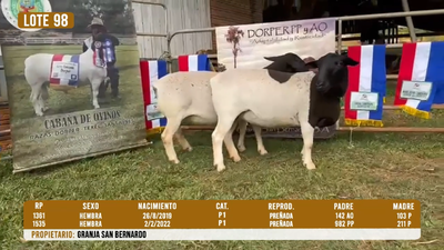 Lote LOTE 98