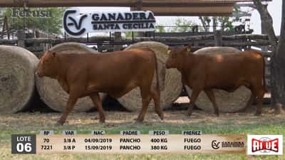 Lote Ganadera Santa Cecilia - Lote 6