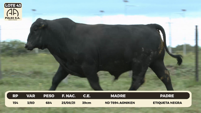 Lote LOTE 43