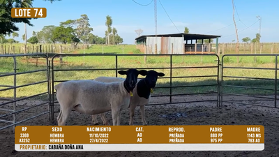Lote LOTE 74- DESTACADO