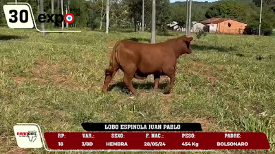 Lote LOTE 30