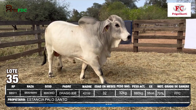 Lote ESTANCIA PALO SANTO