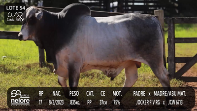 Lote LOTE 54