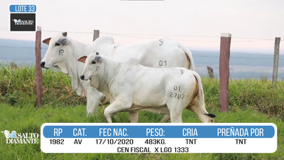 Lote LOTE 33