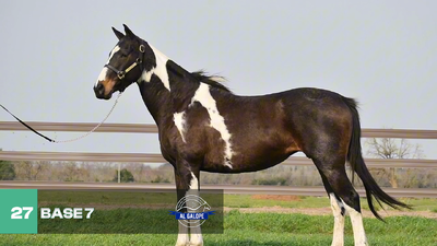 Lote Lote 27