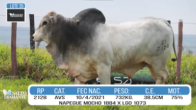 Lote LOTE 35