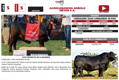 Lote LOTE 5