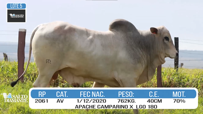 Lote LOTE 5