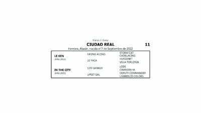 Lote CIUDAD REAL (LE KEN - IN THE CITY  por  CITY BANKER)