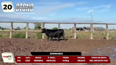 Lote LOTE 20