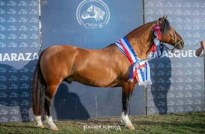 Lote El Gavilán a Punto Caramelo