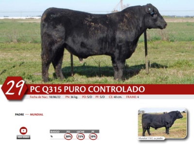 Lote MACHO PC