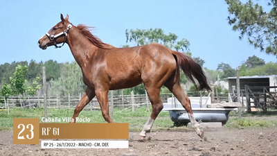 Lote Yeguarizos, San José