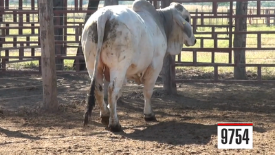 Lote Brahman