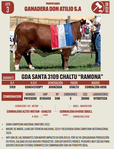 Lote LOTE 3