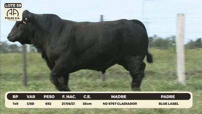 Lote LOTE 59