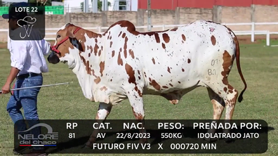 Lote LOTE 22