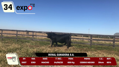 Lote LOTE 34