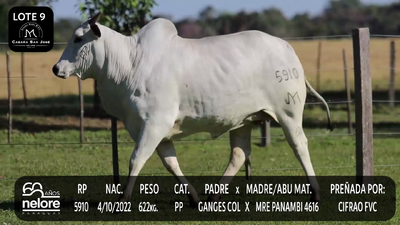 Lote LOTE 9
