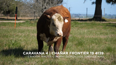 Lote CHAÑAR FRONTIER 19 4139
