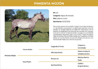 Lote Pimienta Mojón (RP 425)