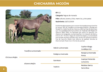 Lote Chicharra Mojón (RP 512)