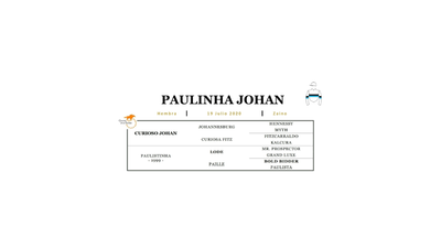 Lote PAULINHA JOHAN (CURIOSO JOHAN - PAULISTINHA)
