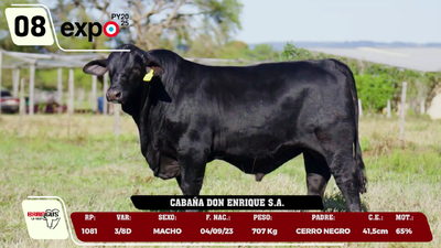 Lote LOTE 8