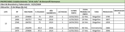 Lote Lote 13