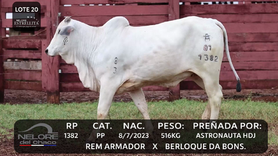 Lote LOTE 20