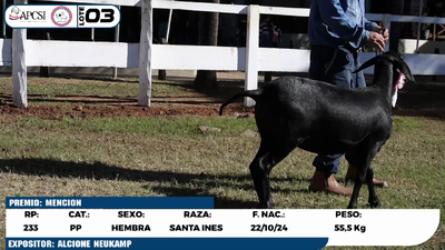 Lote LOTE 3