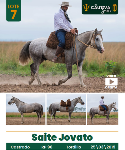 Lote LOTE 7