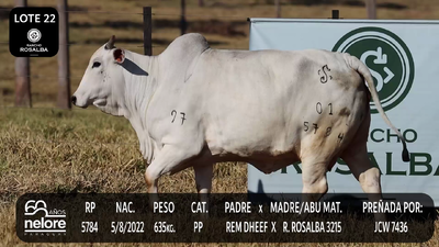Lote LOTE 22
