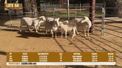Lote LOTE 94
