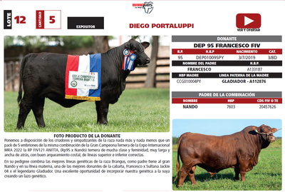 Lote LOTE 12
