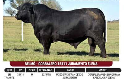 Lote "URUGEN" - RELMÓ - CORRALERO 15411 JURAMENTO ELENA