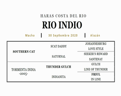 Lote RIO INDIO (SOUTHERN CAT - TORMENTA INDIA)