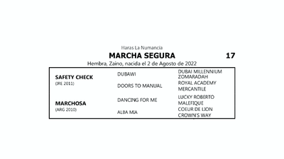 Lote MARCHA SEGURA (SAFETY CHECK  -  MARCHOSA  por  DANCING FOR ME)