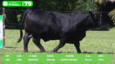 Lote LOTE 79
