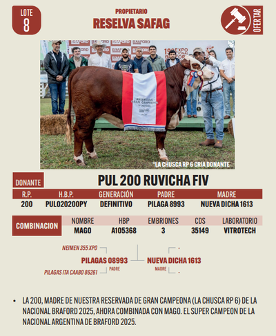 Lote LOTE 8