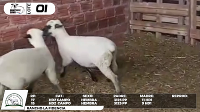 Lote LOTE 1- CAMPO