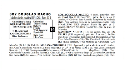 Lote SOY DOUGLAS MACHO