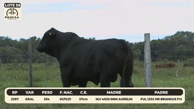 Lote LOTE 56