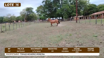 Lote LOTE 16- CAMPO