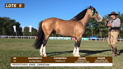 Lote LOTE 8
