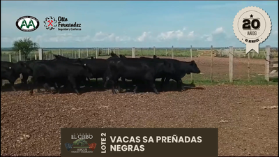 Lote 15 Vientres SA, Artigas