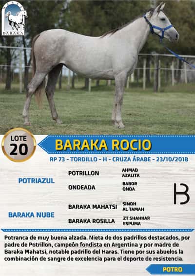 Lote BARAKA ROCIO