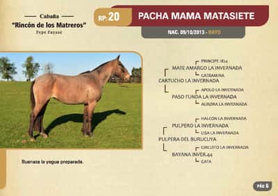 Lote RP 20 - PACHAMAMA MATASIETE - RINCON DE LOS MATREROS