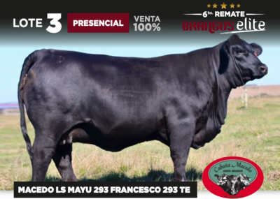 Lote MACEDO LS MAYU 293 FRANCESCO 293 TE - CABAÑA MACEDO